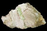 Yellow-Green Fluorapatite Crystal in Calcite - Ontario, Canada #137104-1